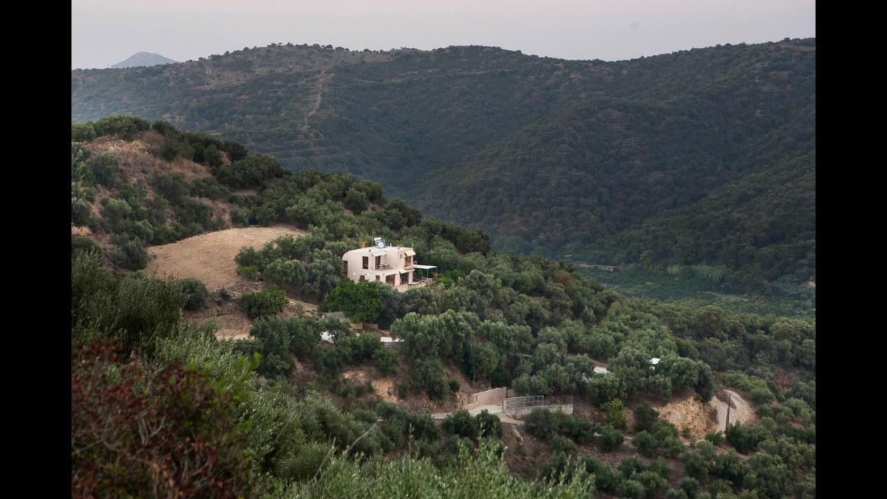 Villa Orgoni Patellari Exterior photo